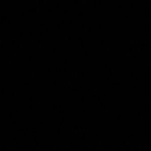 Meet your Posher, Samuel